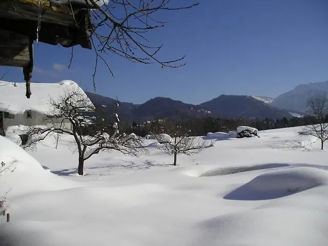 Hoeglhof Inkl. Chiemgaukarte Ruhpolding Lejlighed